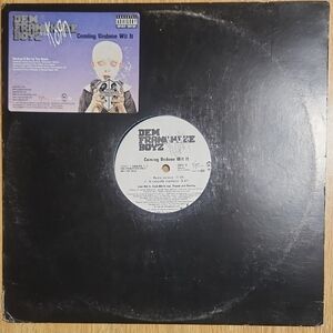 Dem Franchize Boyz Vinyl Record